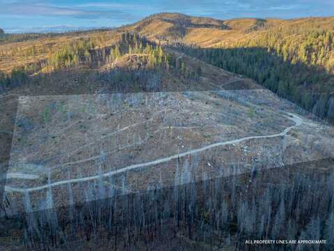 Lot 1 Rail Canyon Rd, Springdale, WA 99173