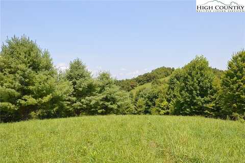 Lot #16 Twin Oaks Mountain Boulevard, Sparta, NC 28675