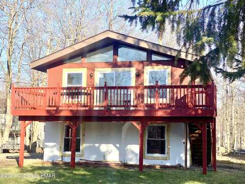 Jasmine, TOBYHANNA, PA 18466