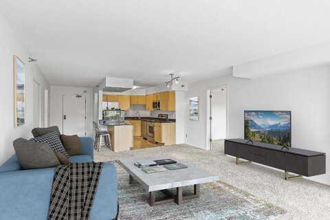 1St, MINNEAPOLIS, MN 55401