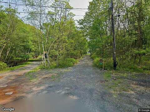 Black Cherry, LONG POND, PA 18334