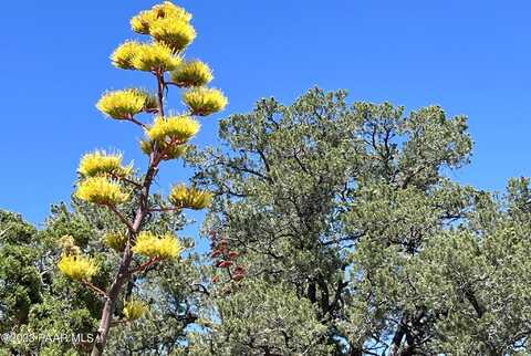 Off Of Big View, Ash Fork, AZ 86320