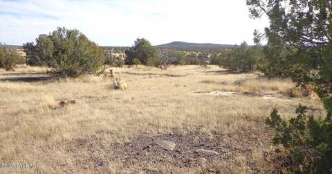 N Trackside Trail 211 Lane, Ash Fork, AZ 86320