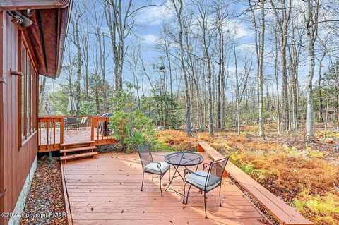 Pine Cone, POCONO PINES, PA 18350