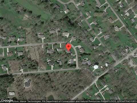 Beau, EDINBORO, PA 16412