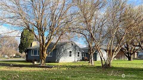 Chestnut, ALMIRA, WA 99103