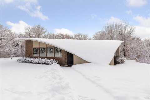 Dominick, HOPKINS, MN 55343