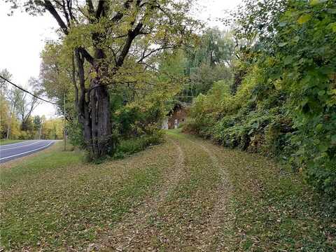 Main, CARVER, MN 55315
