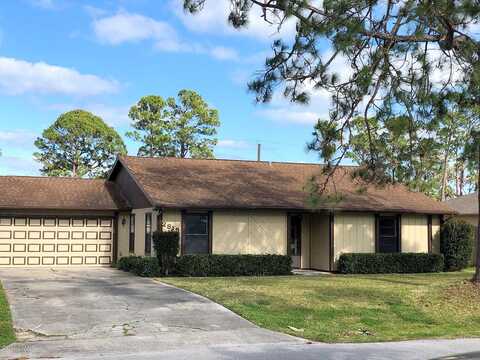 Queen Palm, EDGEWATER, FL 32141