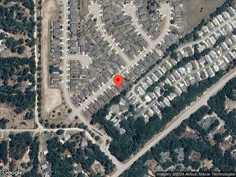 Arborvitae, DELAND, FL 32724
