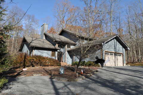 Fern, CANADENSIS, PA 18325