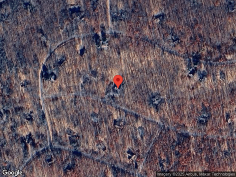 Fern, CANADENSIS, PA 18325