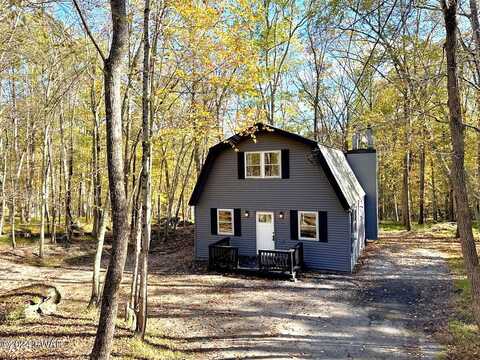 Lamplighter, LACKAWAXEN, PA 18435