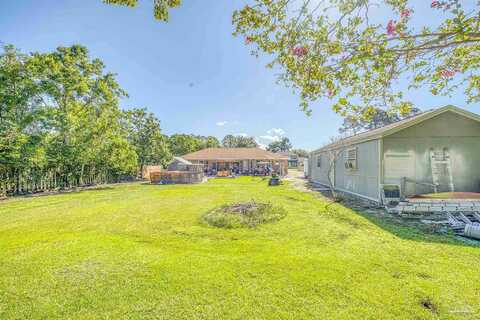 Sumatra, GULF BREEZE, FL 32563
