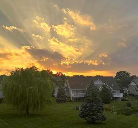 Amber, WHITEWATER, WI 53190