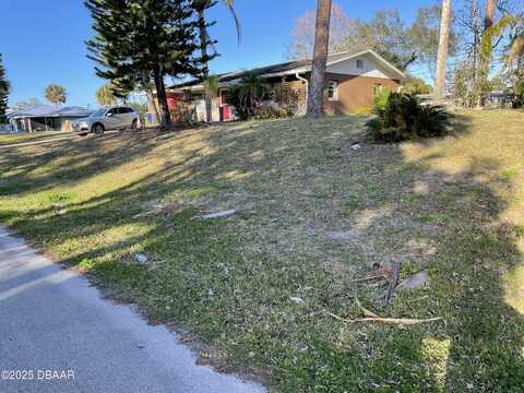 Travelers Palm, EDGEWATER, FL 32141