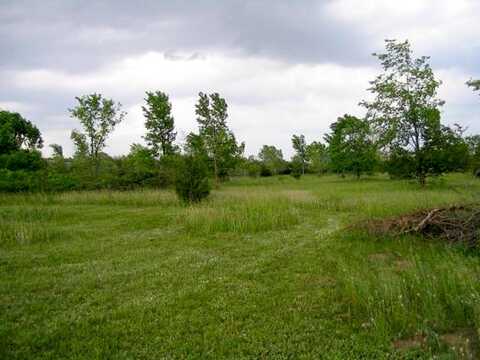 Geneva, COTTAGE GROVE, MN 55016