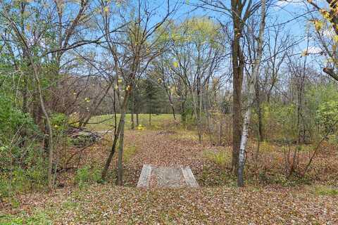Hodgson, CIRCLE PINES, MN 55014