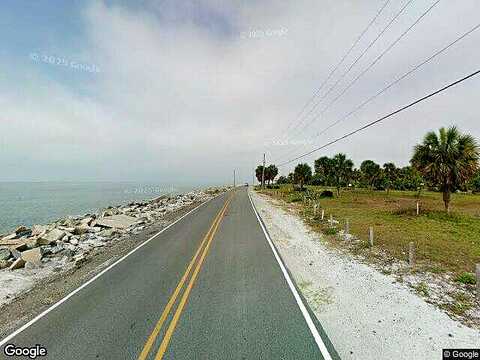 Alligator, PANACEA, FL 32346