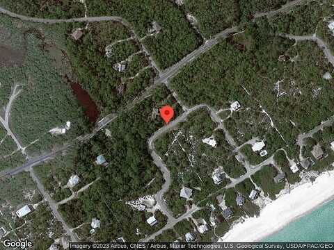 Forsythia, EASTPOINT, FL 32328
