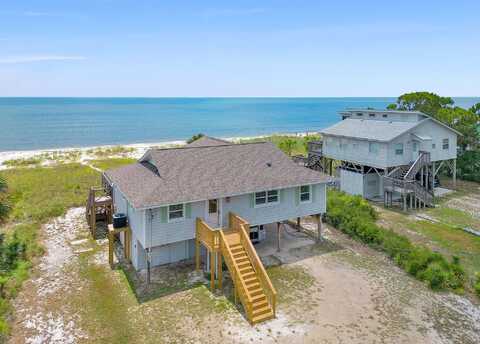 Alligator, PANACEA, FL 32346