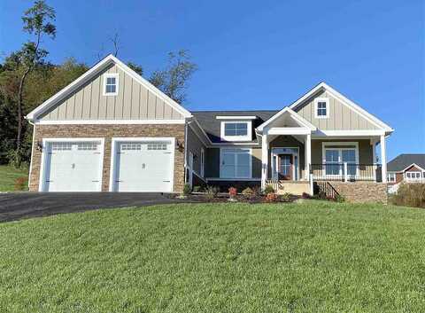 Silver Maple, FISHERSVILLE, VA 22939