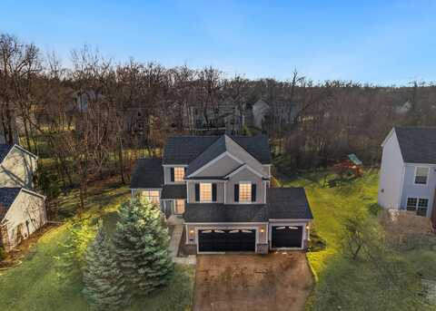 Meadow Grass, COTTAGE GROVE, MN 55016