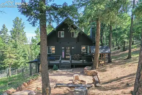 Ridge, DIVIDE, CO 80814