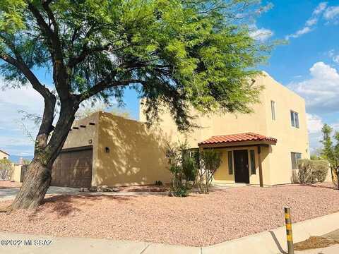 Aster, TUCSON, AZ 85743