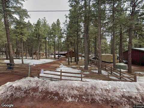 Long Bow, WILLIAMS, AZ 86046
