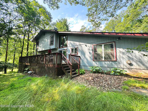 Buck, TANNERSVILLE, PA 18372