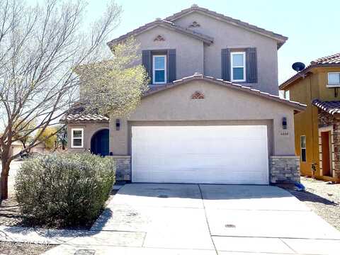 Orchard Grass, TUCSON, AZ 85756