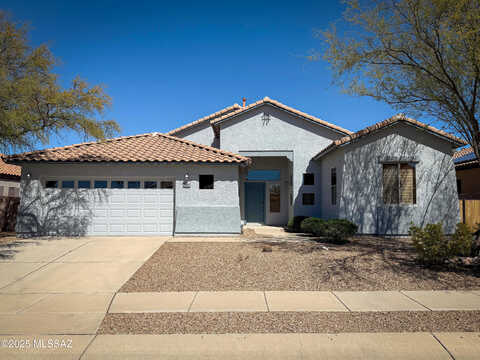 Heartleaf Willow, TUCSON, AZ 85747