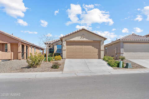 Cervelli, MARANA, AZ 85653