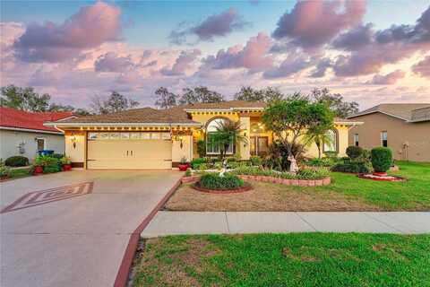 Hook, SPRING HILL, FL 34608