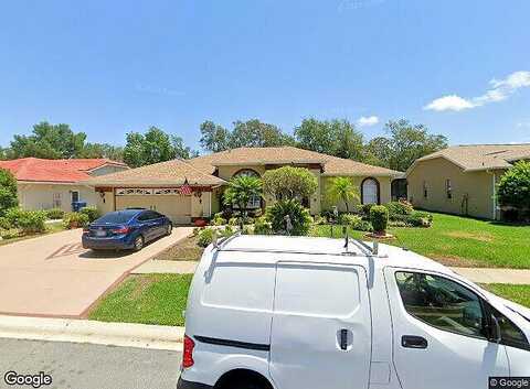 Hook, SPRING HILL, FL 34608