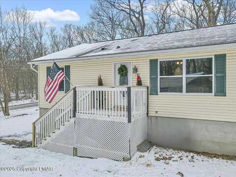 Eagle, BUSHKILL, PA 18324
