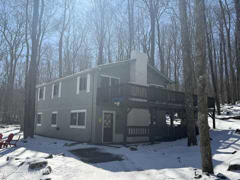 Stag, POCONO LAKE, PA 18347
