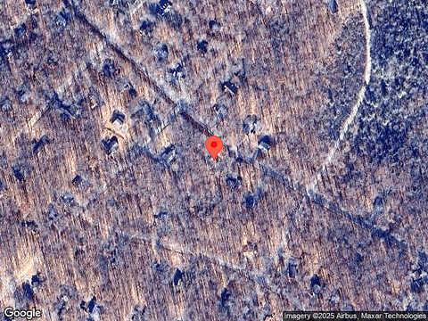 Stag, POCONO LAKE, PA 18347