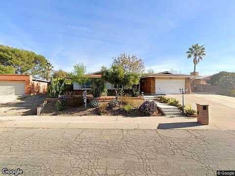 Palm Tree, TUCSON, AZ 85710