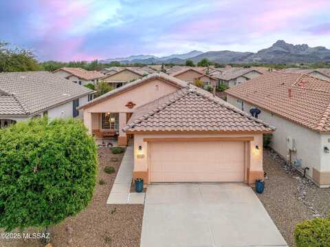 Summer Scene, TUCSON, AZ 85743