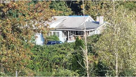 Tillstrom, DAMASCUS, OR 97089
