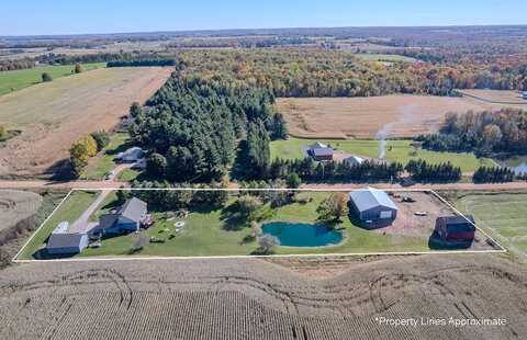 Blueberry, EDGAR, WI 54426