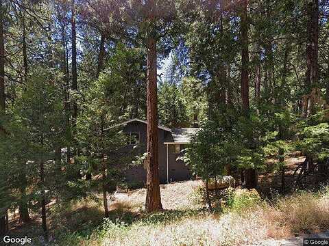Lilac, POLLOCK PINES, CA 95726