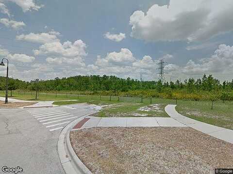 Turtle Grass, ORLANDO, FL 32824