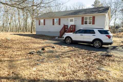 Bluebird, BUSHKILL, PA 18324