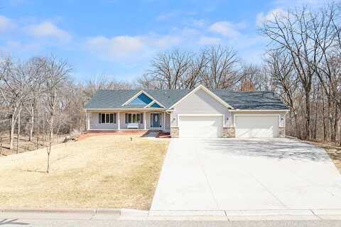 Flamingo, CEDAR, MN 55011