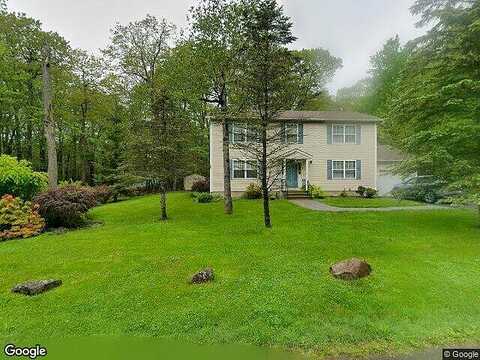 Larkspur, TOBYHANNA, PA 18466