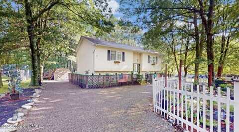 Steele, BUSHKILL, PA 18324