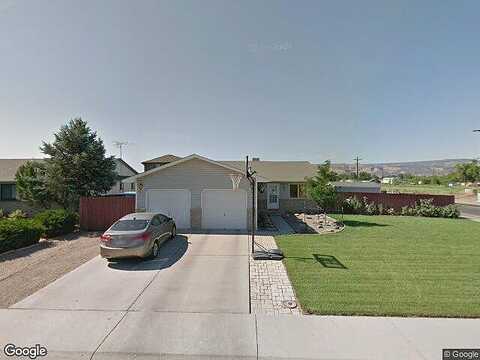 Sunflower, FRUITA, CO 81521